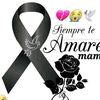 saravia318