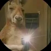 saludosplebes