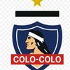 fan_colocolo.23