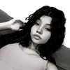_falconezs