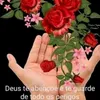paradoxo344