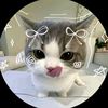 catty1055