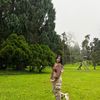 swandany8