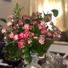 yosra.ali32