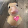 gycugyculalala3