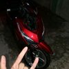 alvin_sbtng