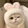 nigel_angeloo