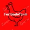 ferlando.aritonang