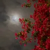 sotoxrkc