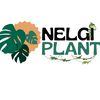 nelgiplant