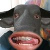 wereirm