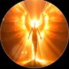 veram0595