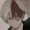 shoto.todoroki8625