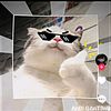 rapzz748