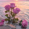 soulef.ahmadi1