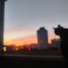 kirkaa4o