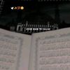 sheikh42578