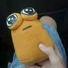 pelapou1