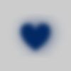safy_ri