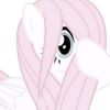 cute.store.ami
