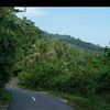 sigepok_top