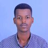 abrish2729