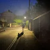 aureliesspam0