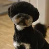 marcelthephantompoodle