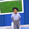 user33219668461020