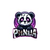 panda._17_.esports