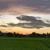 huynnhi734