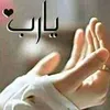 user3126633579654