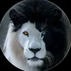 arsh_650