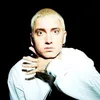 sljmshadyversion