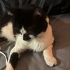 skyyfunny