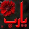 noor.san