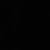 nnoriik