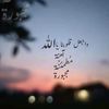 aidaabdelhamed3
