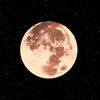 saida.hamid00