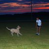 grantsbackup_14
