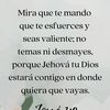 user2593579177515
