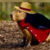 rip_capybarax