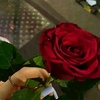 noor_noor_.g