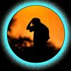 marof.chowdhury