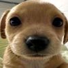 allweeneedislove7