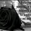 lvet96