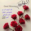 user128awan