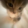 freyaaa_620