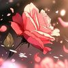 akisama_12