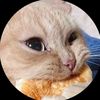 nfujgf